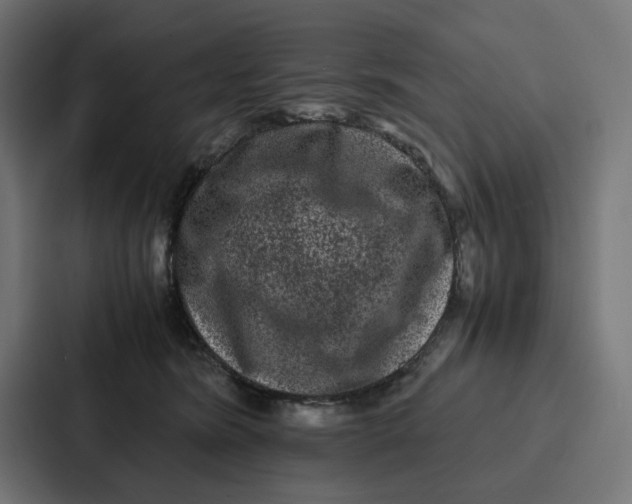 X0000087320420200705112141