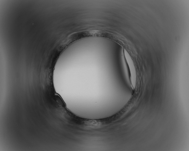 X0000087320421200705112141