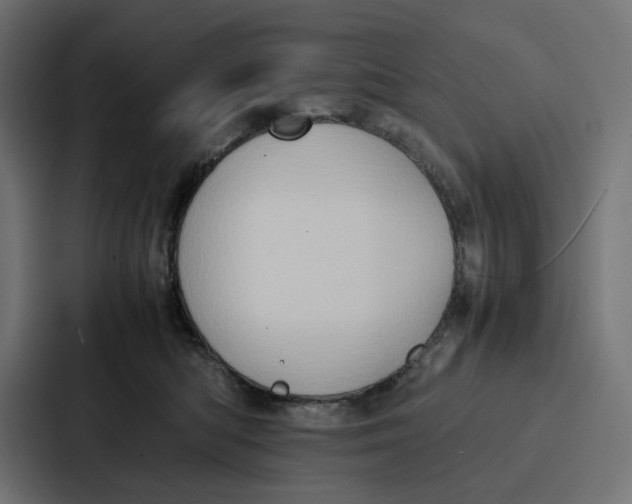 X0000087320422200705112141