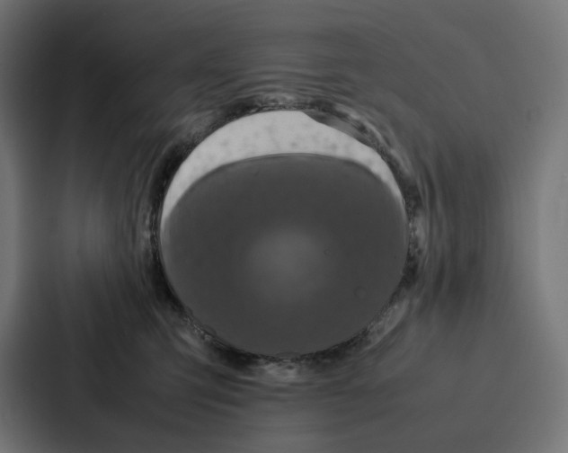 X0000087320423200705112141