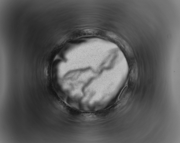 X0000087320424200705112141