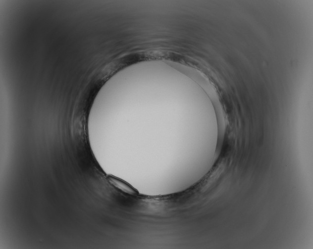 X0000087320425200705112141