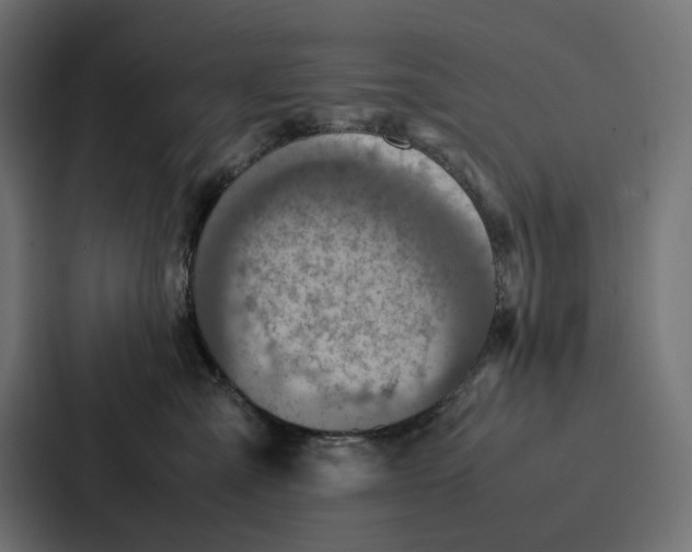 X0000087320427200705112141