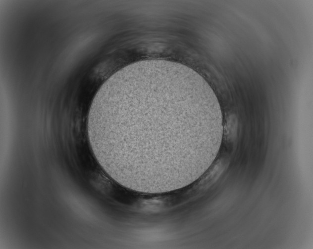 X0000087320430200705112141