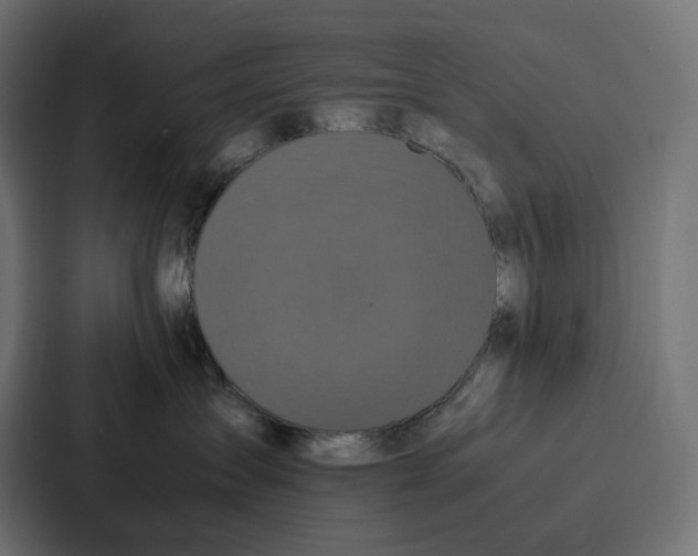 X0000087320431200705112140