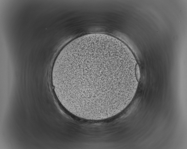 X0000087320433200705112140