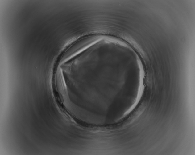 X0000087320434200705112140