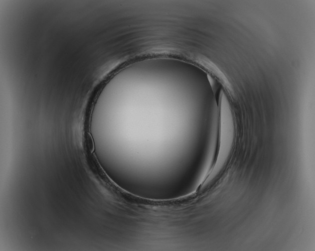 X0000087320436200705112140