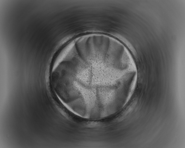 X0000087320437200705112140