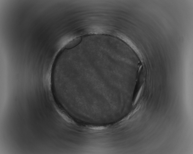 X0000087320438200705112140