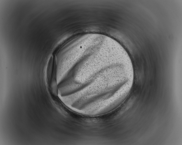 X0000087320439200705112140