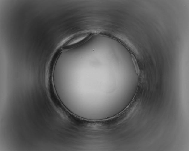 X0000087320440200705112140