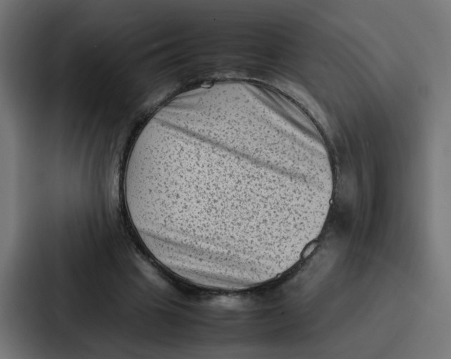 X0000087320441200705112140