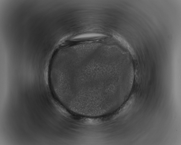 X0000087320442200705112140