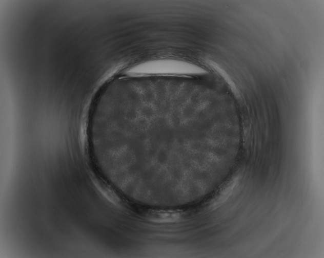 X0000087320443200705112140