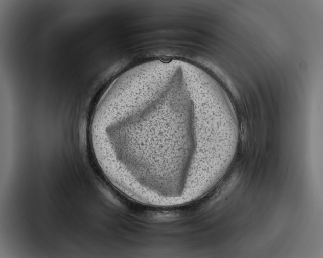 X0000087320445200705112140