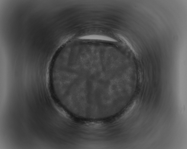 X0000087320447200705112140