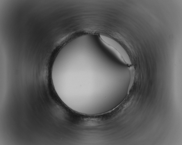 X0000087320448200705112140