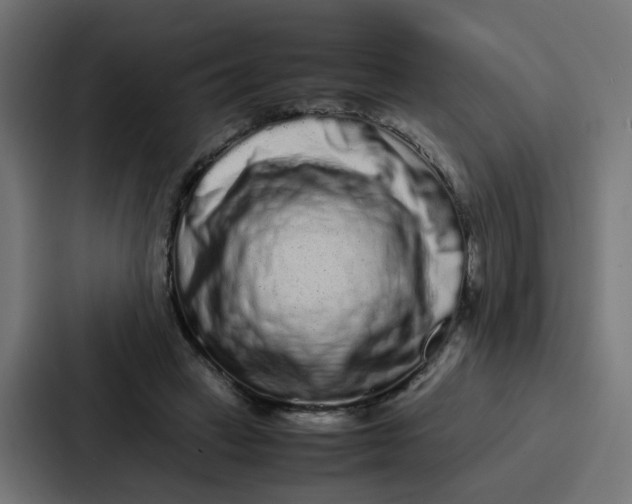 X0000087320449200705112140