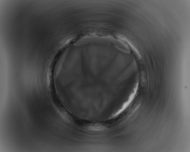 X0000087320451200705112140