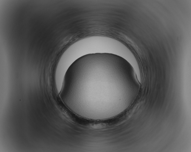 X0000087320452200705112140