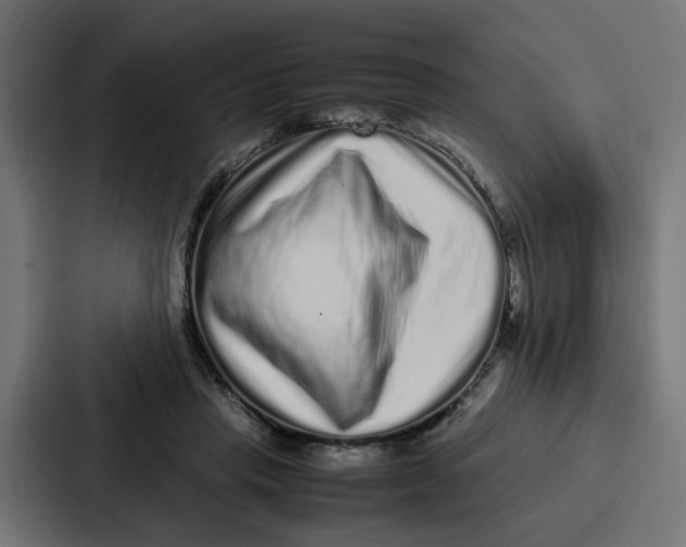 X0000087320453200705112140