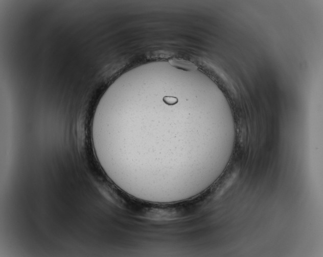 X0000087320455200705112140