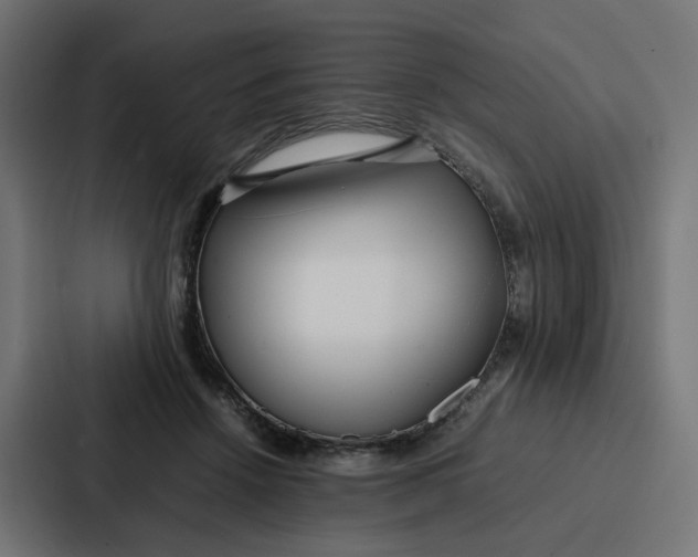 X0000087320456200705112140