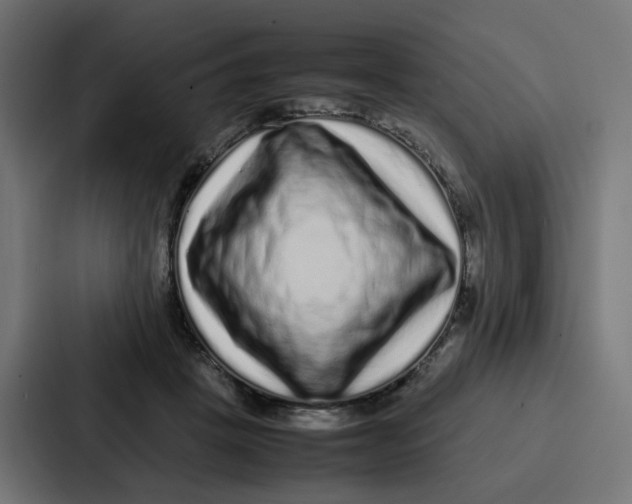 X0000087320457200705112140