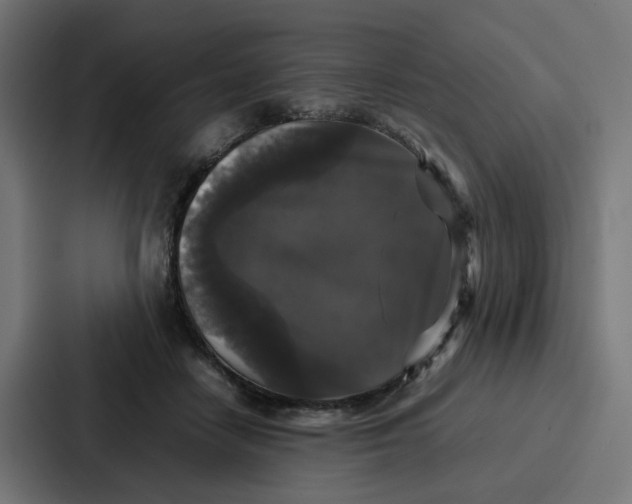 X0000087320458200705112140