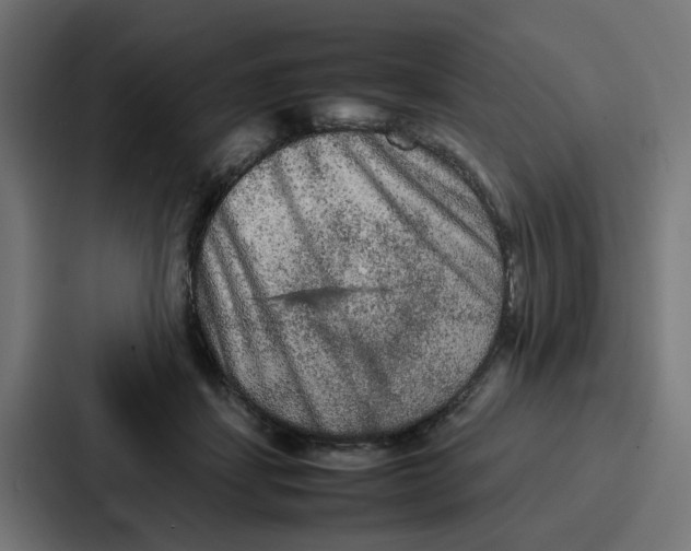 X0000087320459200705112140