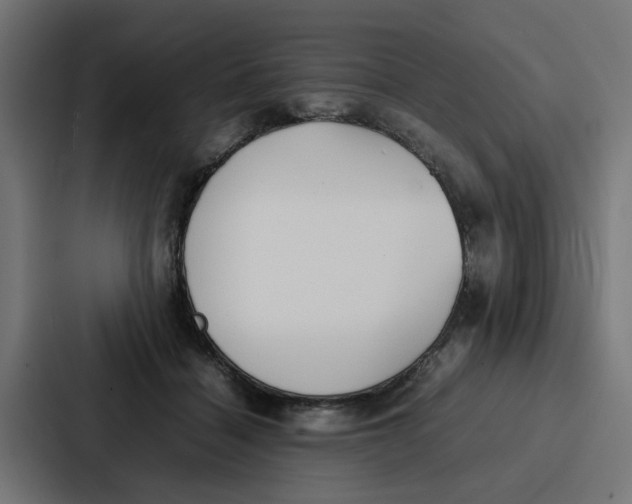 X0000087320460200705112140