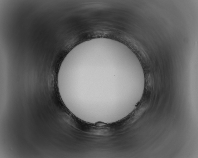 X0000087320463200705112140