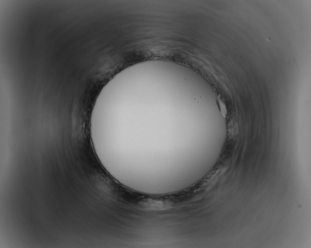 X0000087320464200705112140