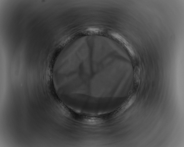 X0000087320467200705112140