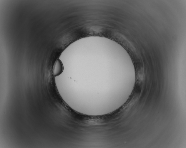 X0000087320468200705112140