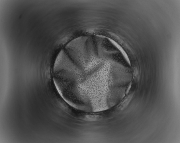 X0000087320470200705112140