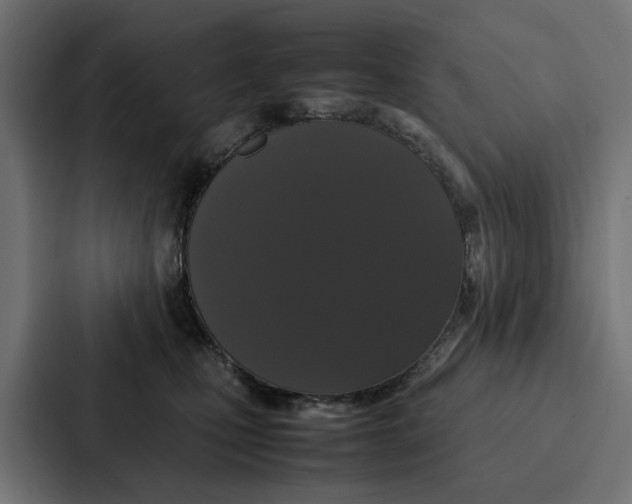 X0000087320471200705112140