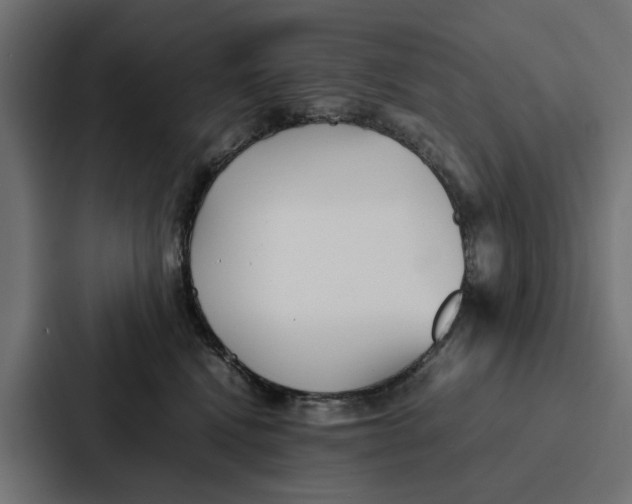 X0000087320472200705112140