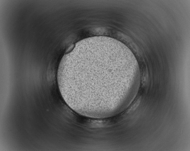 X0000087320473200705112140