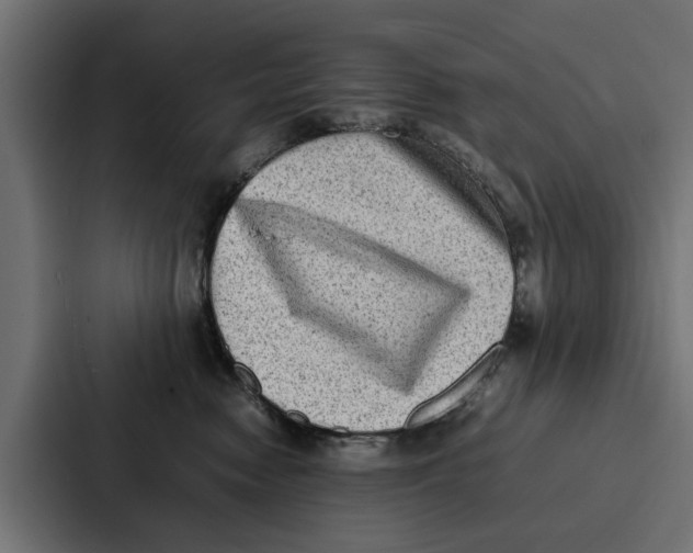 X0000087320474200705112140