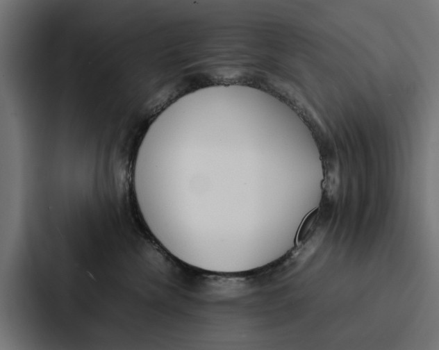 X0000087320476200705112140