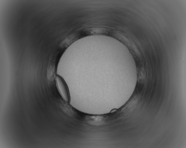 X0000087320478200705112140