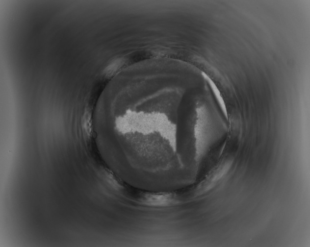 X0000087320479200705112140