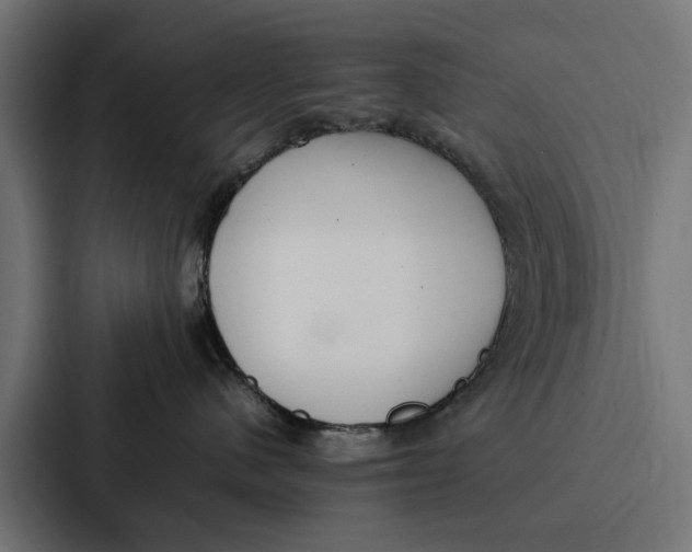 X0000087320480200705112140