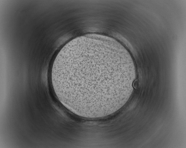 X0000087320482200705112140