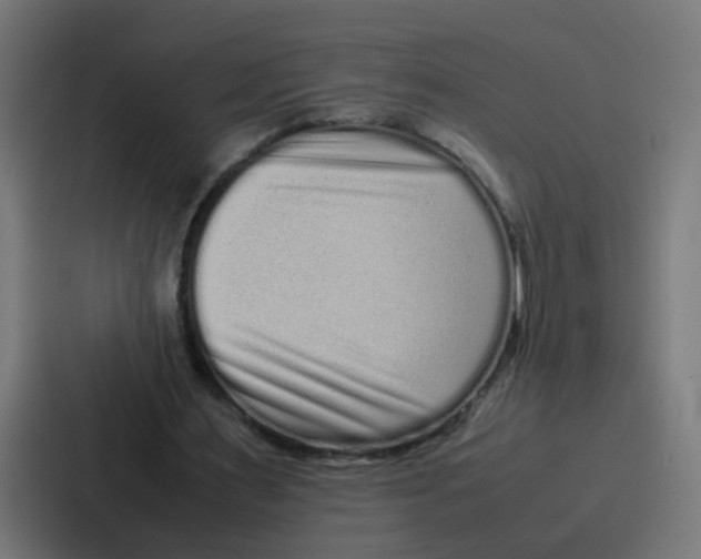 X0000087320483200705112140