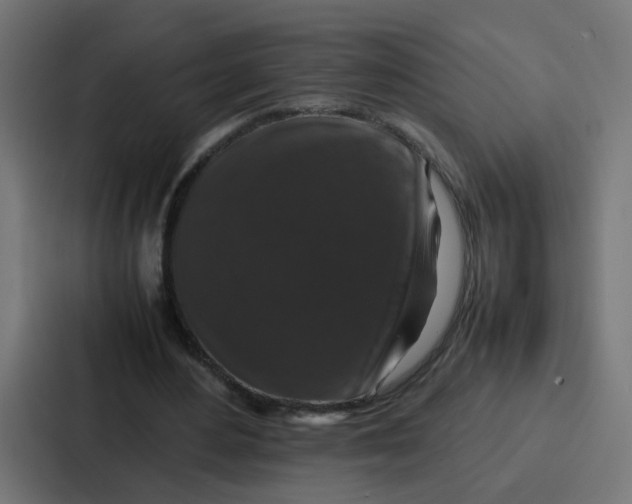 X0000087320484200705112140