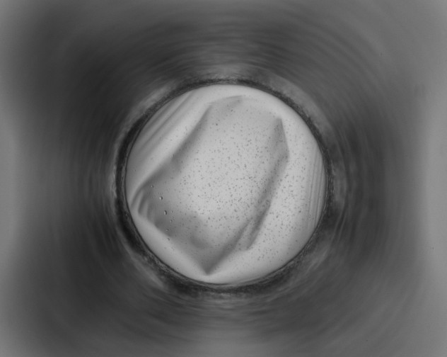 X0000087320486200705112140