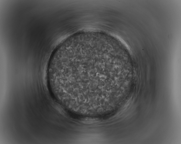 X0000087320487200705112140